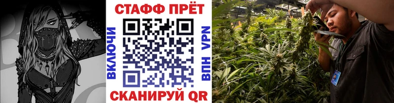 Где купить наркоту Новодвинск A PVP  Марихуана  Меф мяу мяу  ГАШИШ  Cocaine 