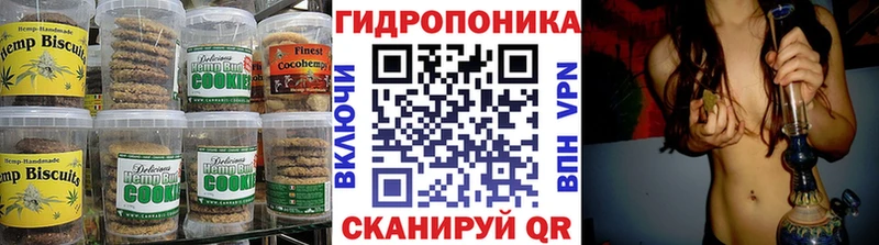 закладка Новодвинск Canna-Cookies конопля