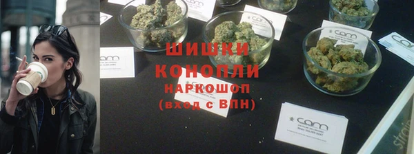 ПСИЛОЦИБИНОВЫЕ ГРИБЫ Алексеевка