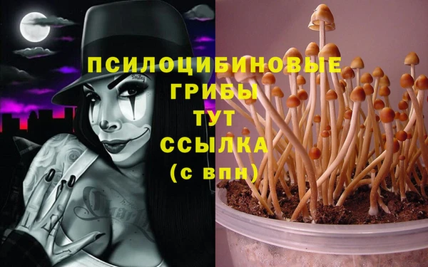 наркотики Алзамай