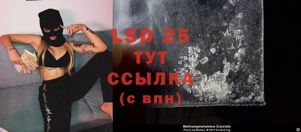 ПСИЛОЦИБИНОВЫЕ ГРИБЫ Алексеевка