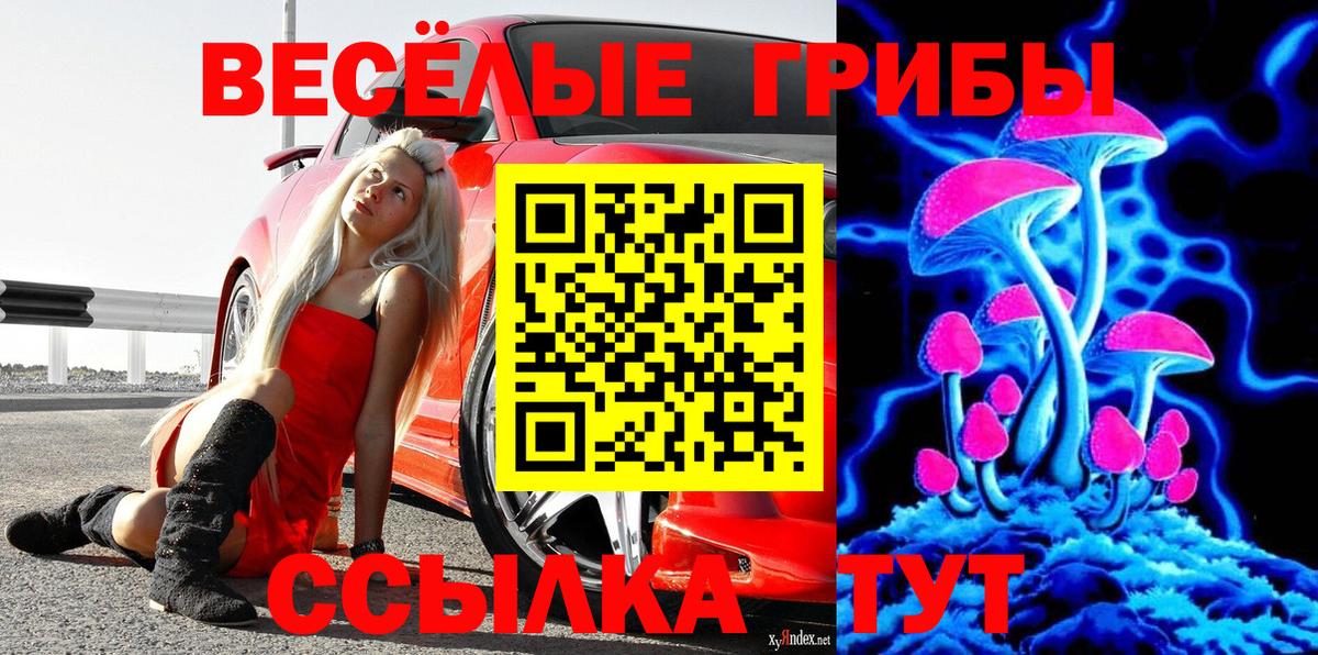Галлюциногенные грибы Cubensis Новодвинск