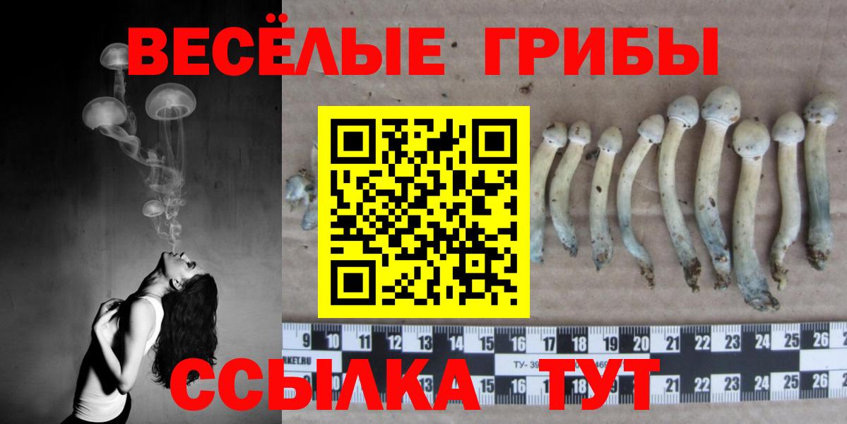 Псилоцибиновые грибы GOLDEN TEACHER  Галлюциногенные грибы ЛСД  Вход с VPN  Новодвинск 